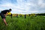 00138_SSR- 3, 2017_07_02